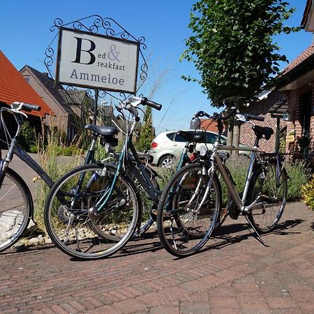 Bed And Breakfast Ammeloe Vreden Eksteriør bilde