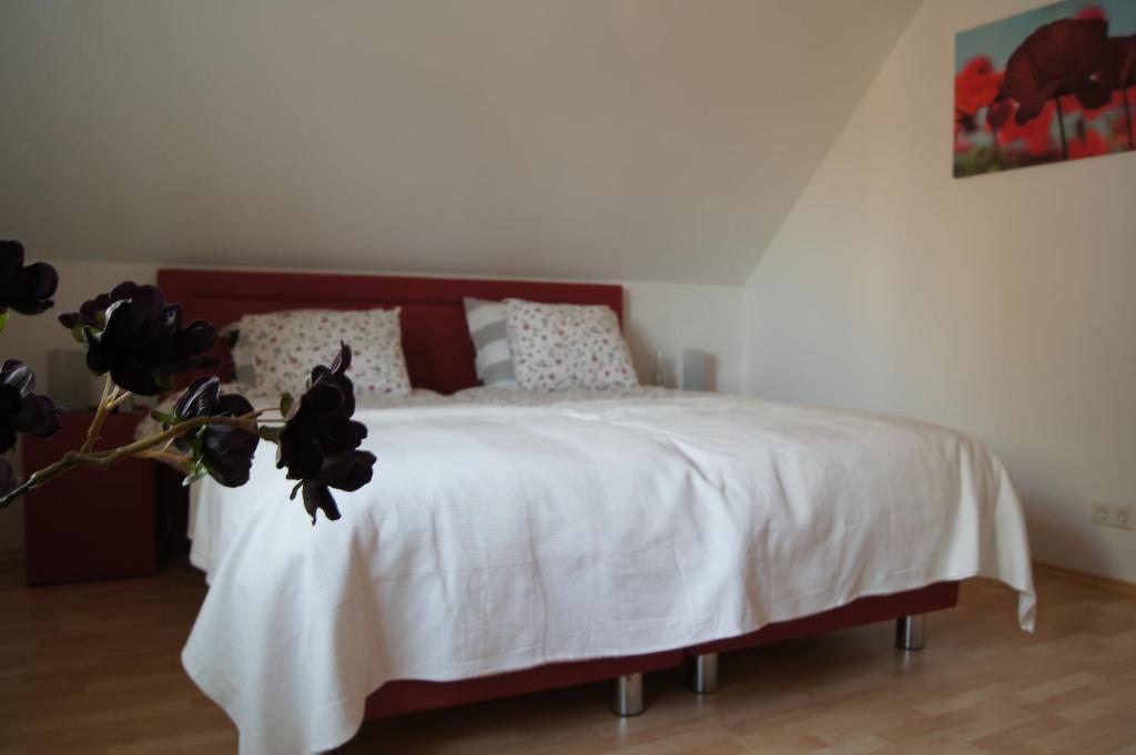 Bed And Breakfast Ammeloe Vreden Eksteriør bilde