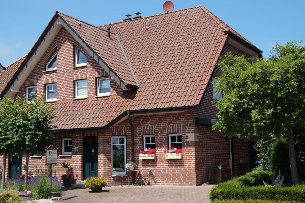 Bed And Breakfast Ammeloe Vreden Eksteriør bilde