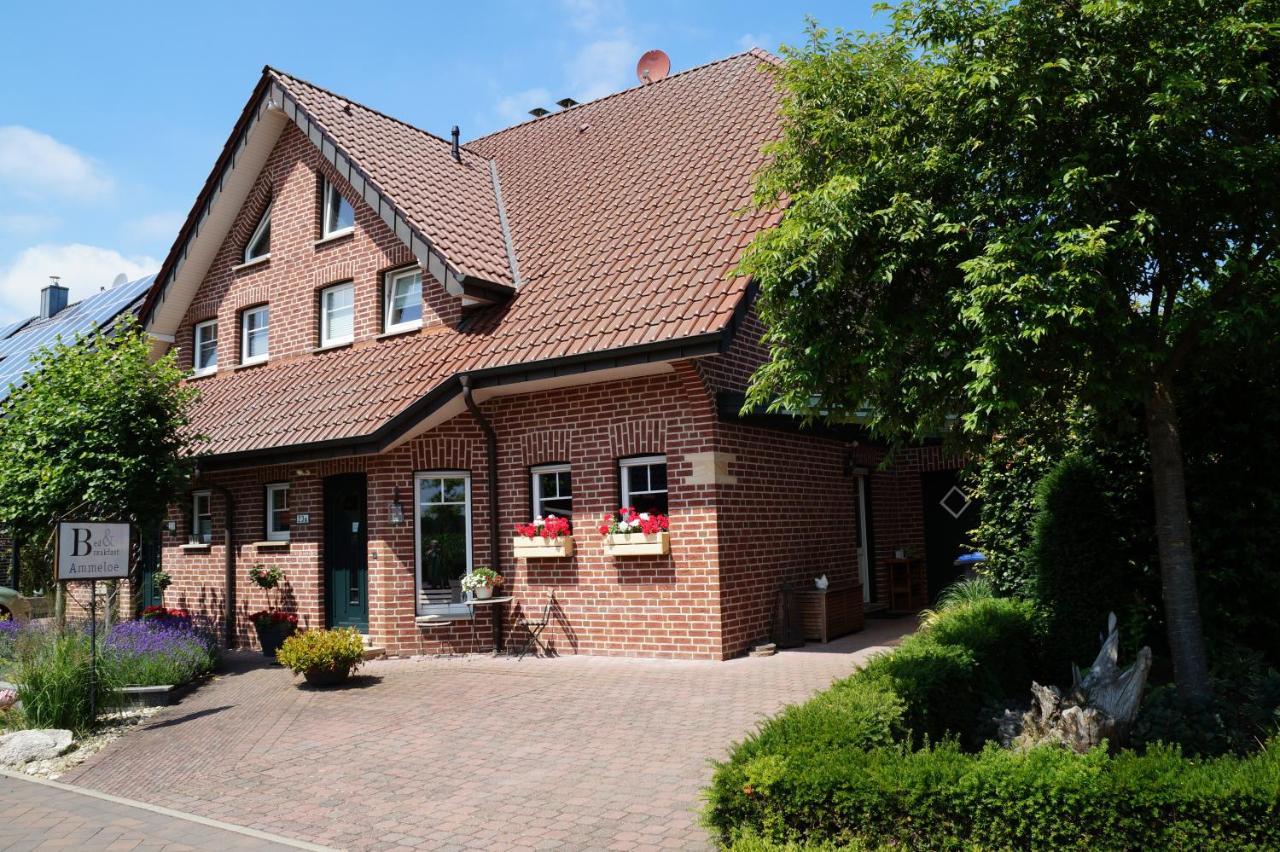 Bed And Breakfast Ammeloe Vreden Eksteriør bilde