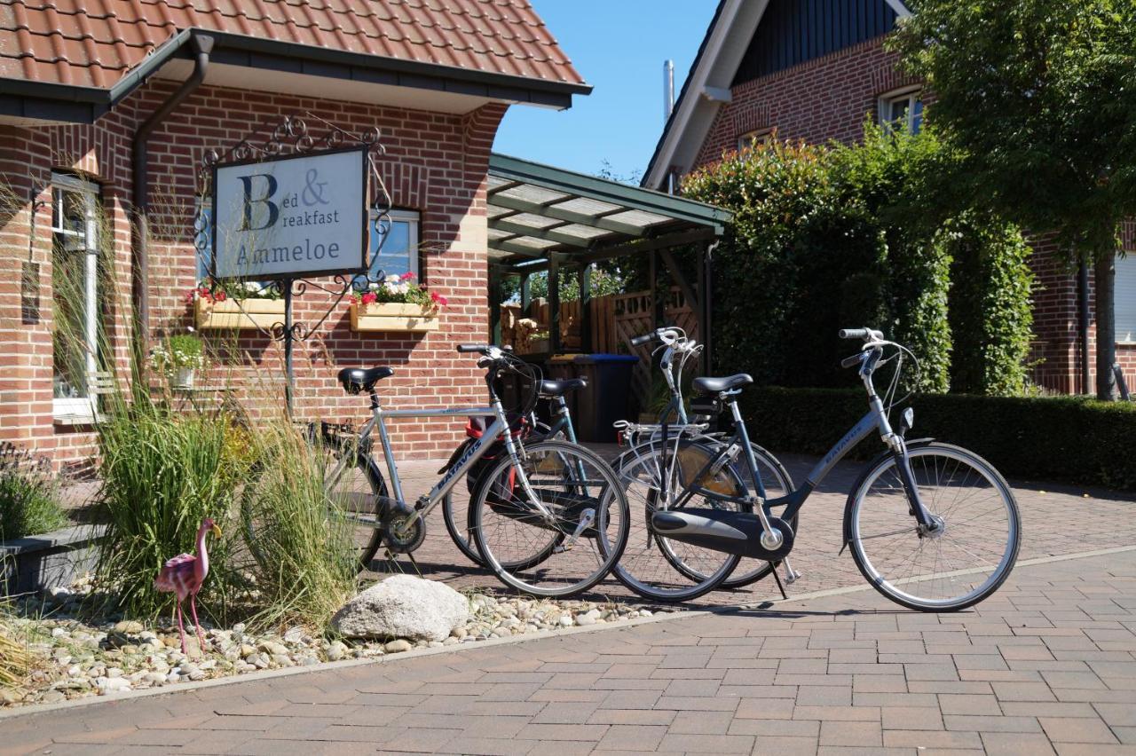 Bed And Breakfast Ammeloe Vreden Eksteriør bilde